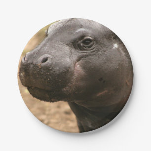 pygmy-hippo-1 pappteller