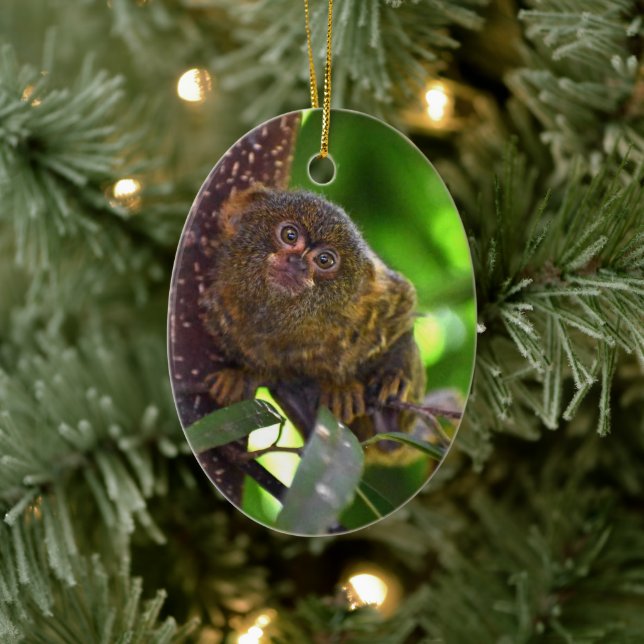 Pygmy Marmoset Magic Keramik Ornament (Baum)