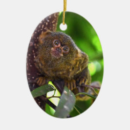 Pygmy Marmoset Magic Keramik Ornament