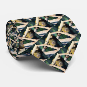 Pygmy Marmoset Tree Hugger, Neck Tie Krawatte