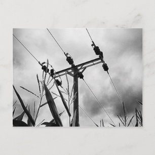 Pylon Postkarte