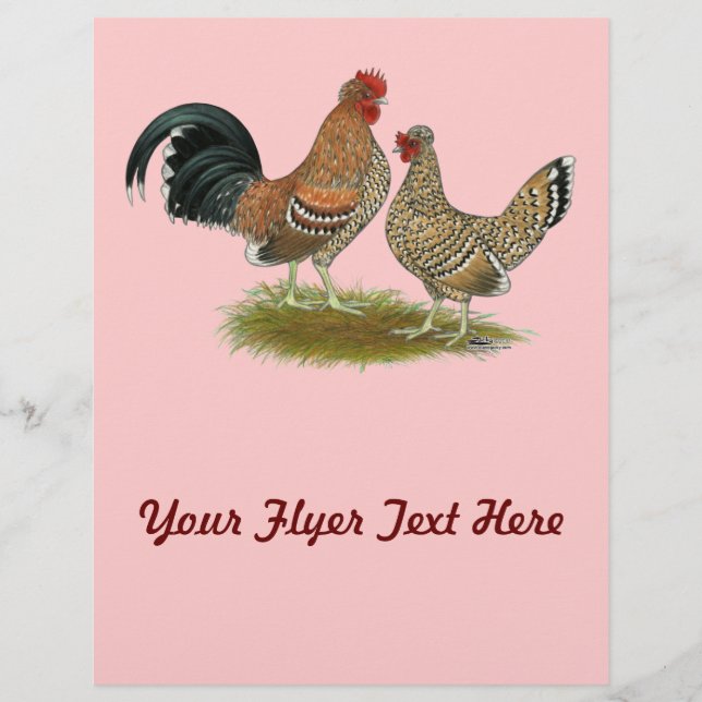 Pyncheon Bantams Flyer (Vorne)