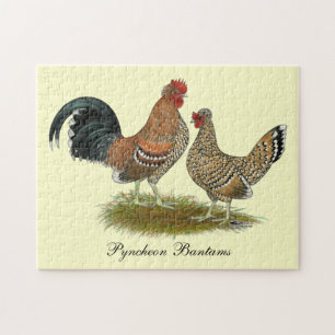 Pyncheon Bantams Puzzle