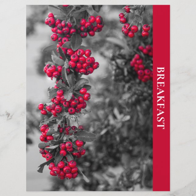 Pyracantha-Beeren-Frühstücksrezept-Trenner (Vorderseite)