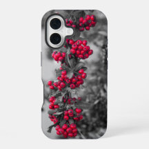 Pyracantha-Beeren-Handyhülle