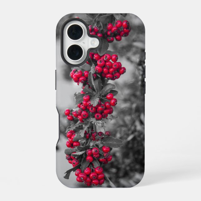 Pyracantha-Beeren-Handyhülle iPhone 16 Hülle (Rückseite)
