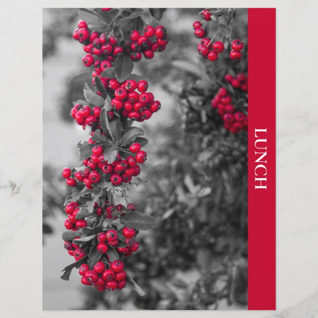 Pyracantha-Beeren-Rezept-Trennblatt (Vorderseite)