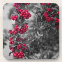 Pyracantha-Beeren-Rot und Grau Botanischer Unterse