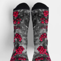 Pyracantha-Beeren-Rote und Graue Socken