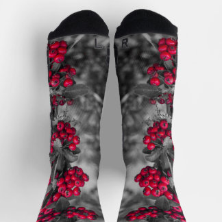 Pyracantha-Beeren-Rote und Graue Socken