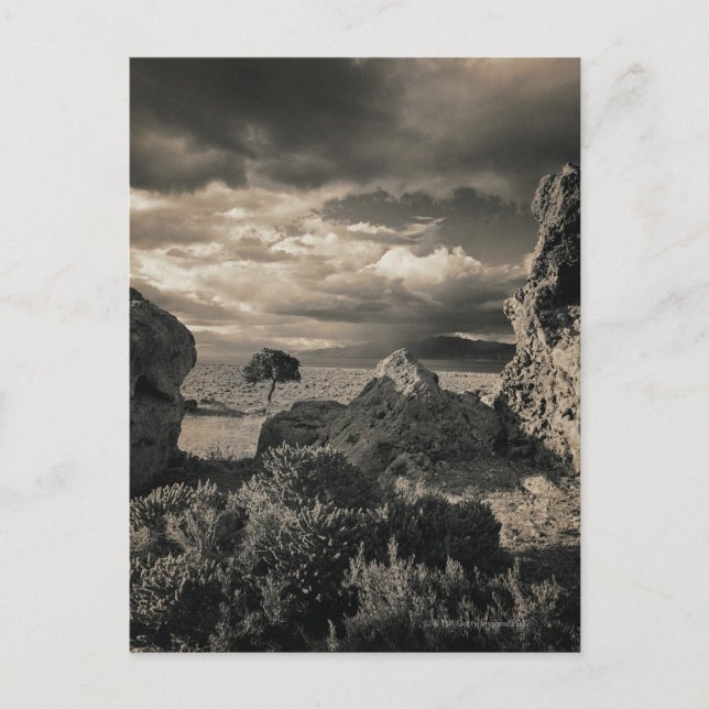 Pyramid Lake, Nevada 2 Postkarte (Vorderseite)