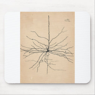 Pyramida Neuron Zeichnend Santiago Ramon y Cajal Mousepad