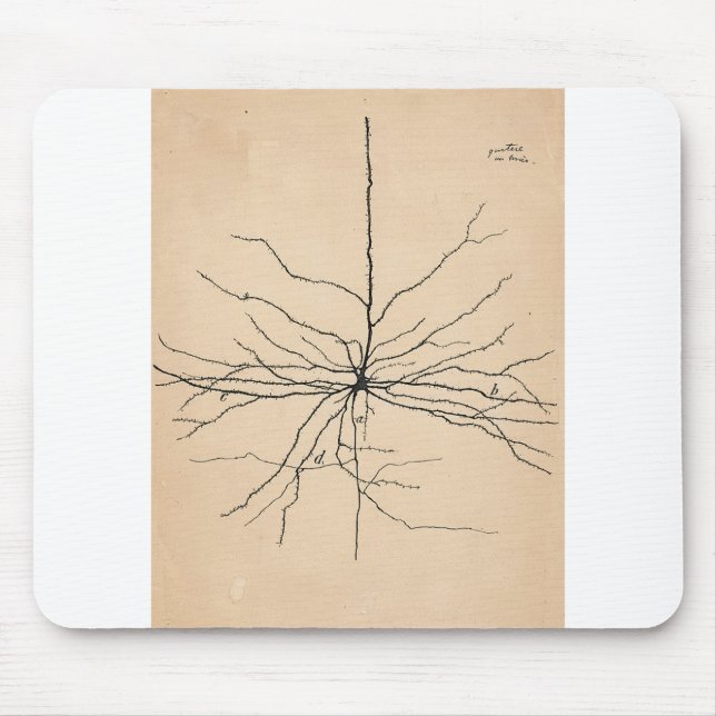 Pyramida Neuron Zeichnend Santiago Ramon y Cajal Mousepad (Vorne)