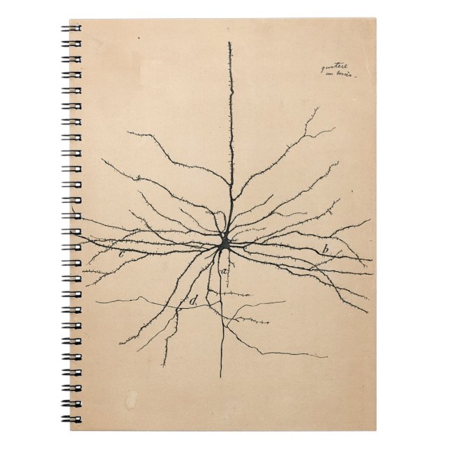 Pyramida Neuron Zeichnend Santiago Ramon y Cajal Notizblock (Vorderseite)