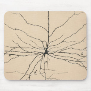 Pyramida Neuron Zeichnend von Santiago Ramón Y Caj Mousepad