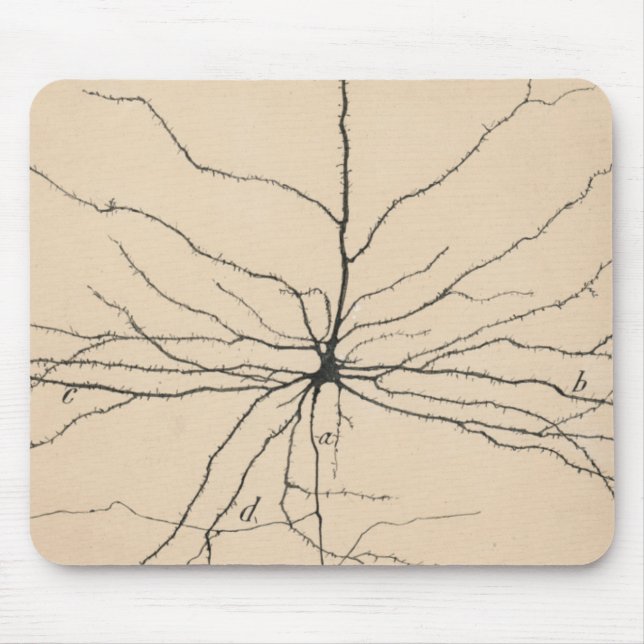Pyramida Neuron Zeichnend von Santiago Ramón Y Caj Mousepad (Vorne)