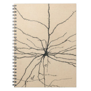 Pyramida Neuron Zeichnend von Santiago Ramón Y Caj Notizblock