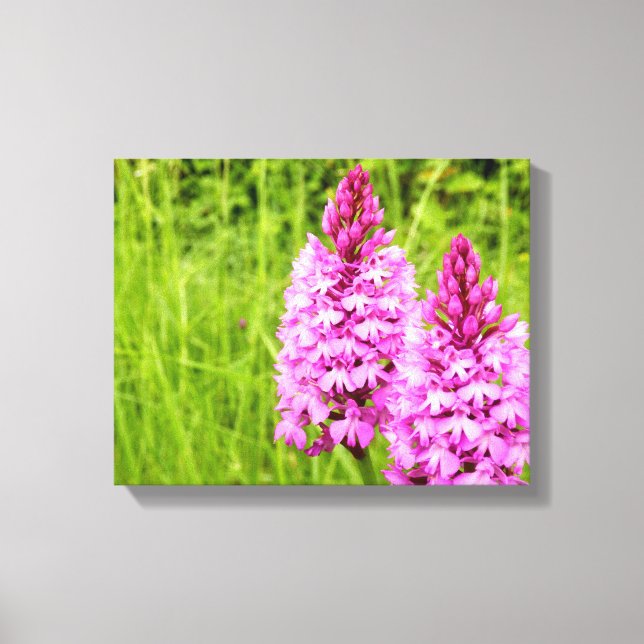 Pyramidal Orchid Canvas Print Leinwanddruck (Vorderseite)