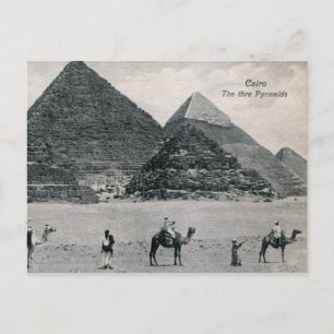 Pyramiden und Kamele, Kairo Ägypten Vintage Postkarte