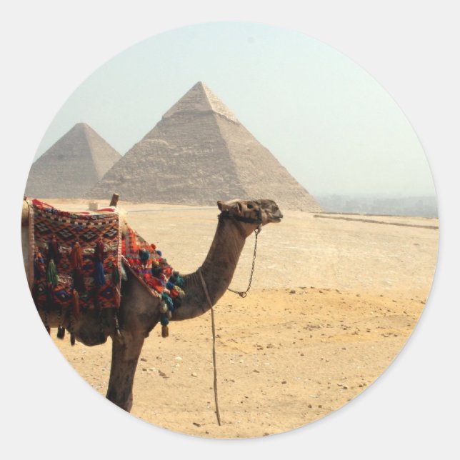 Pyramidenkamel Runder Aufkleber (Vorderseite)