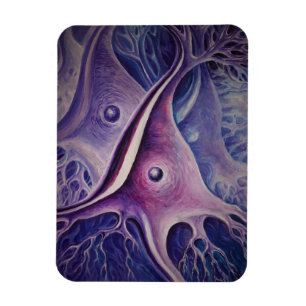 Pyramidenneuron Magnet