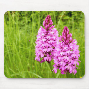 Pyramidenorchideen-Mäusematte Mousepad