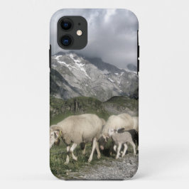 Pyrenäenlandschaft Case-Mate iPhone Hülle