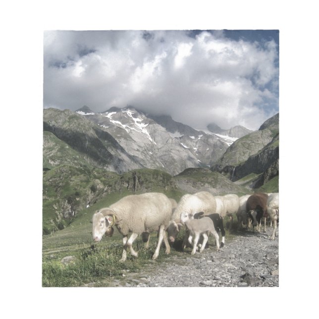 Pyrenäenlandschaft Notizblock (Vorderseite)