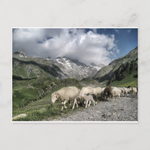 Pyrenäenlandschaft Postkarte