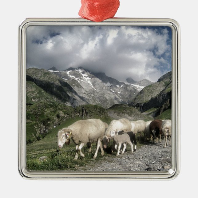 Pyrenäenlandschaft Silbernes Ornament (Vorne)