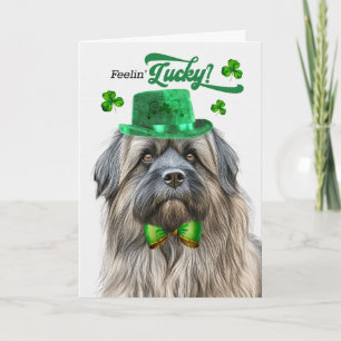 Pyrenean Shepherd Frohe St. Patrick's Day Feiertagskarte