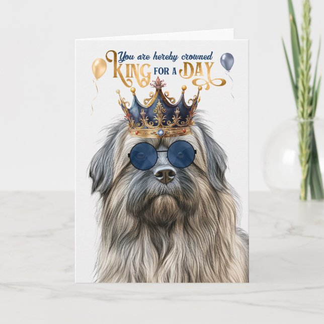 Pyrenean Shepherd King for Day Funny Birthday Karte (Vorderseite)