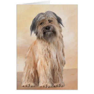 Pyrenean Shepherd Malerei - Niedliche Original Dog