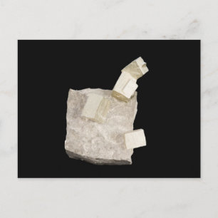 Pyrite Crystals in Shale Postkarte
