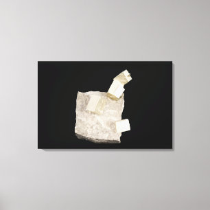 Pyrite Kristalle in Shale Leinwanddruck
