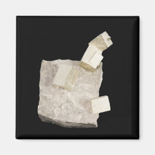 Pyrite Kristalle in Shale Magnet