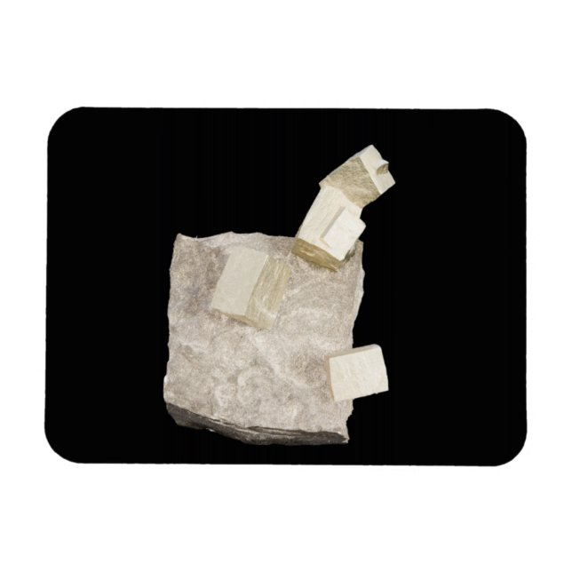 Pyrite Kristalle in Shale Magnet (Horizontal)