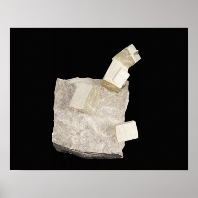 Pyrite Kristalle in Shale Poster (Vorne)