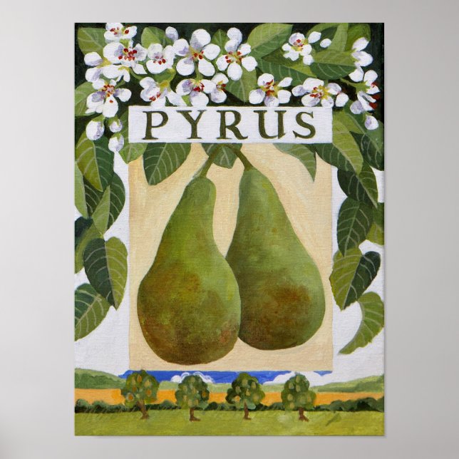Pyrus Poster (Vorne)