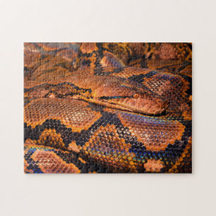Python Boa Puzzle