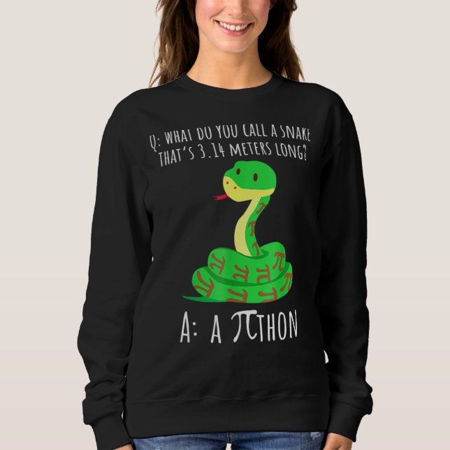Python Pithon Pi Symbol Funny Mathematiker Pi Day Sweatshirt (Vorderseite)
