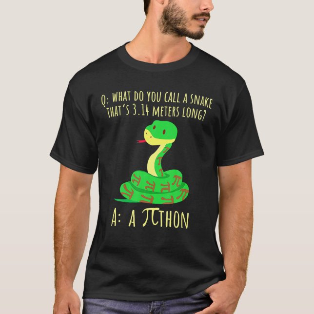 Python Pithon Pi Symbol Funny Mathematiker Pi Day T-Shirt (Vorderseite)