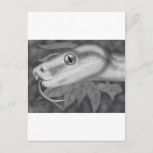 Python Postkarte