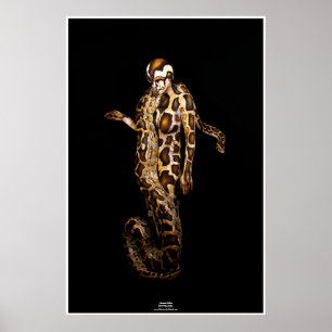 Python von Johannes Stötter Poster