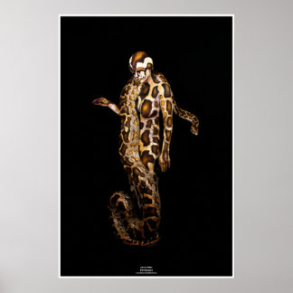 Python von Johannes Stötter Poster