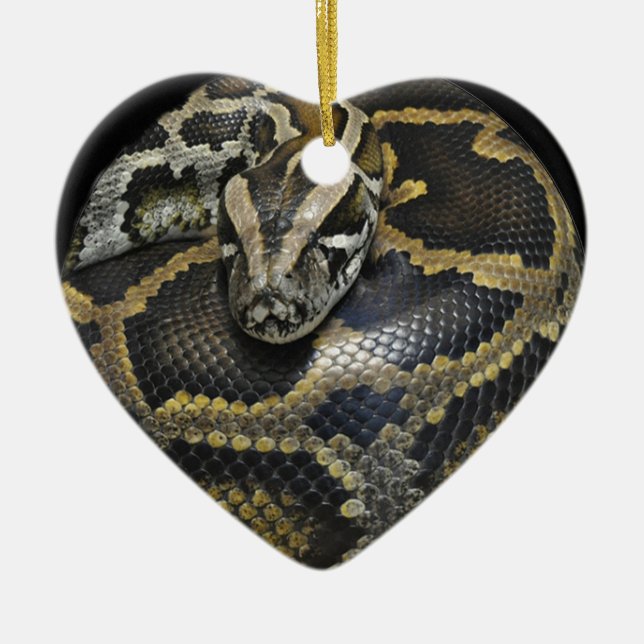 "Pythonschlange" Entwurfsgeschenke und -produkte Keramikornament (Vorne)