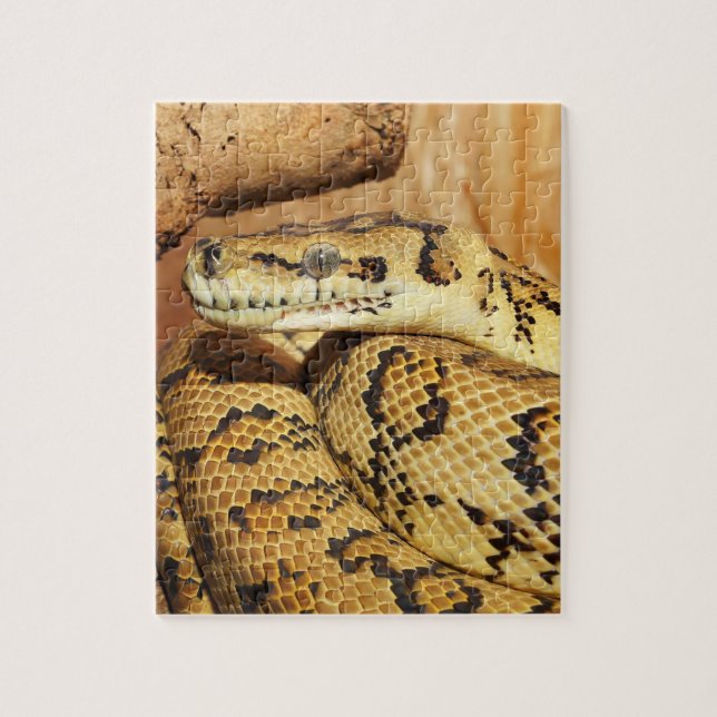 Pythonschlange Puzzle (Vertikal)