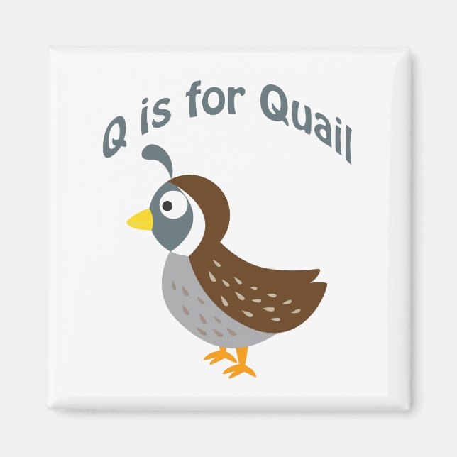 Q ist für Quail Magnet (Vorne)