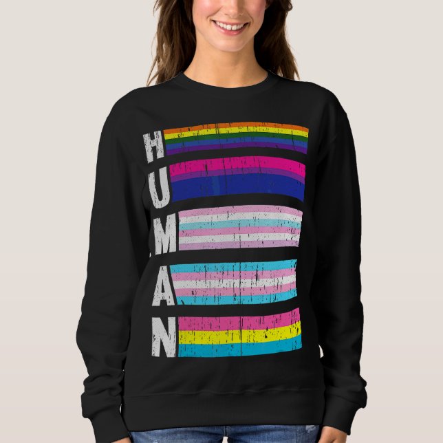Q Pride Flag Gay Bi Intersexual Trans P Sweatshirt (Vorderseite)
