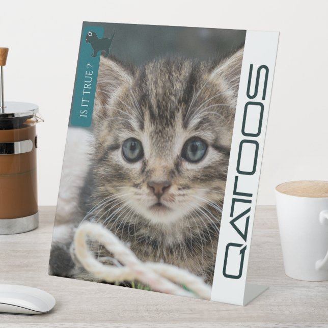 QATTOOS-PEDESTALES SIGN SOCKELSCHILD (In Situ)